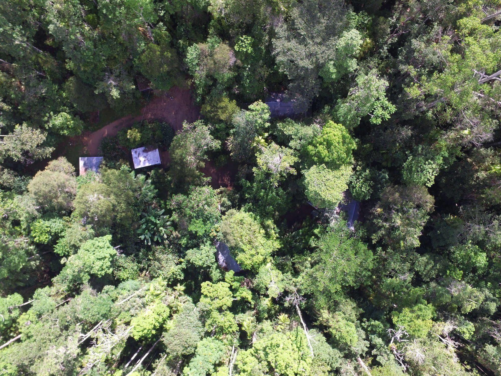 Crater Lakes Rainforest Cottages Yungaburra Εξωτερικό φωτογραφία